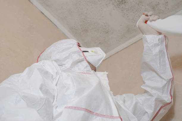 Best Commercial Mold Removal  in Lake Kerr, FL