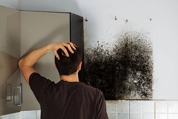 Best Mold Cleaning Services  in Lake Kerr, FL